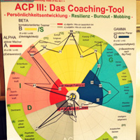 AC Profile fr das Coaching